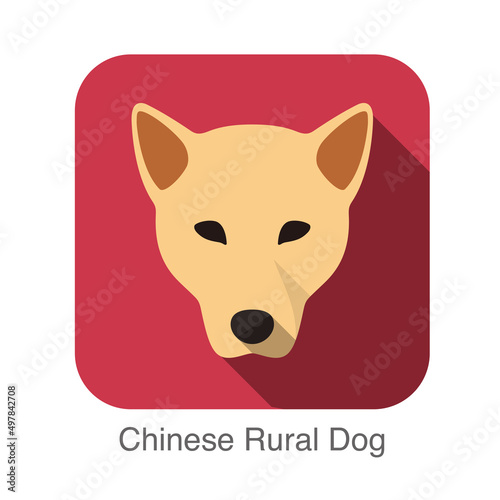 Chinese rural dog face flat icon, dog series © hakule
