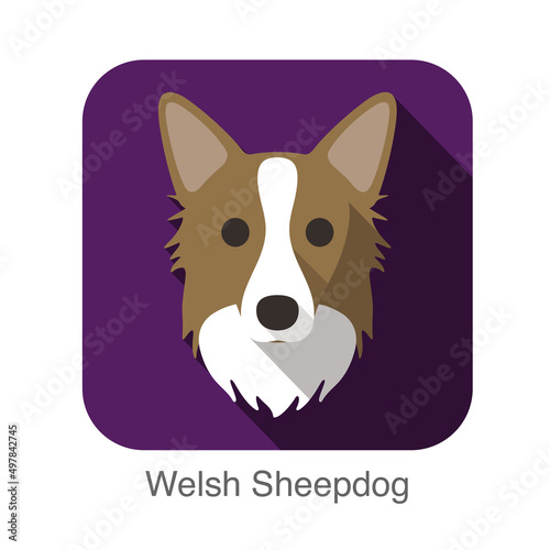 Welsh sheepdog dog face flat icon, dog series