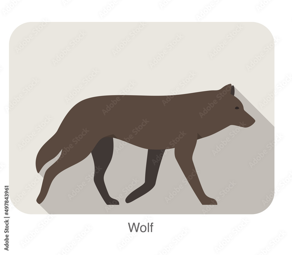 Wolf walking or running on the ground, vector illustration