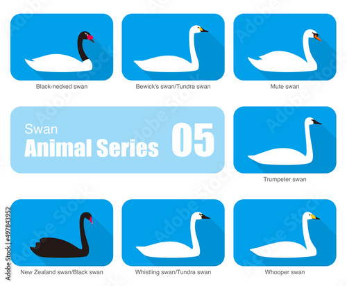 Set of swan vector icons