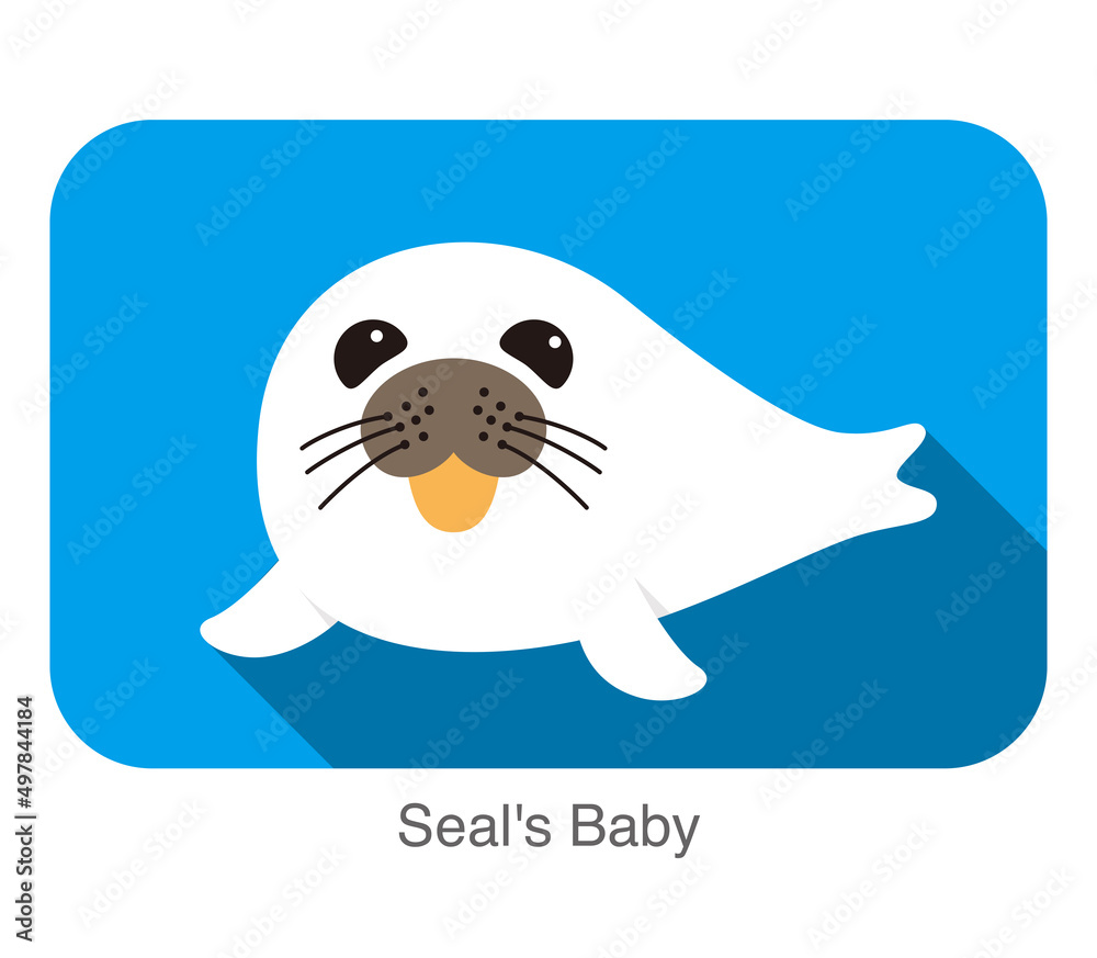 cute seal's baby flat icon vector illustration cute seal's baby flat icon vector illustration