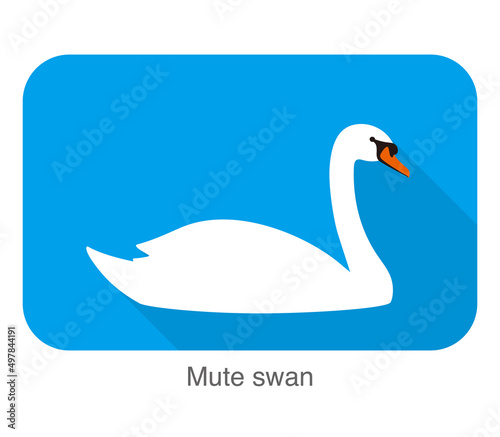 Fototapeta Naklejka Na Ścianę i Meble -  mute swan, cartoon flat icon vector illustration