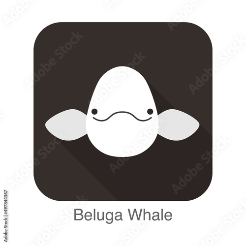 Beluga whale face flat icon vector illustration