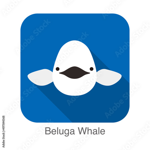 Beluga whale face flat icon vector illustration