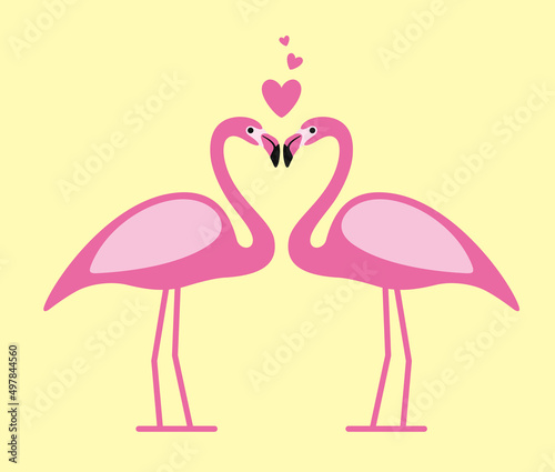 two Flamingos face to face  lover  vector