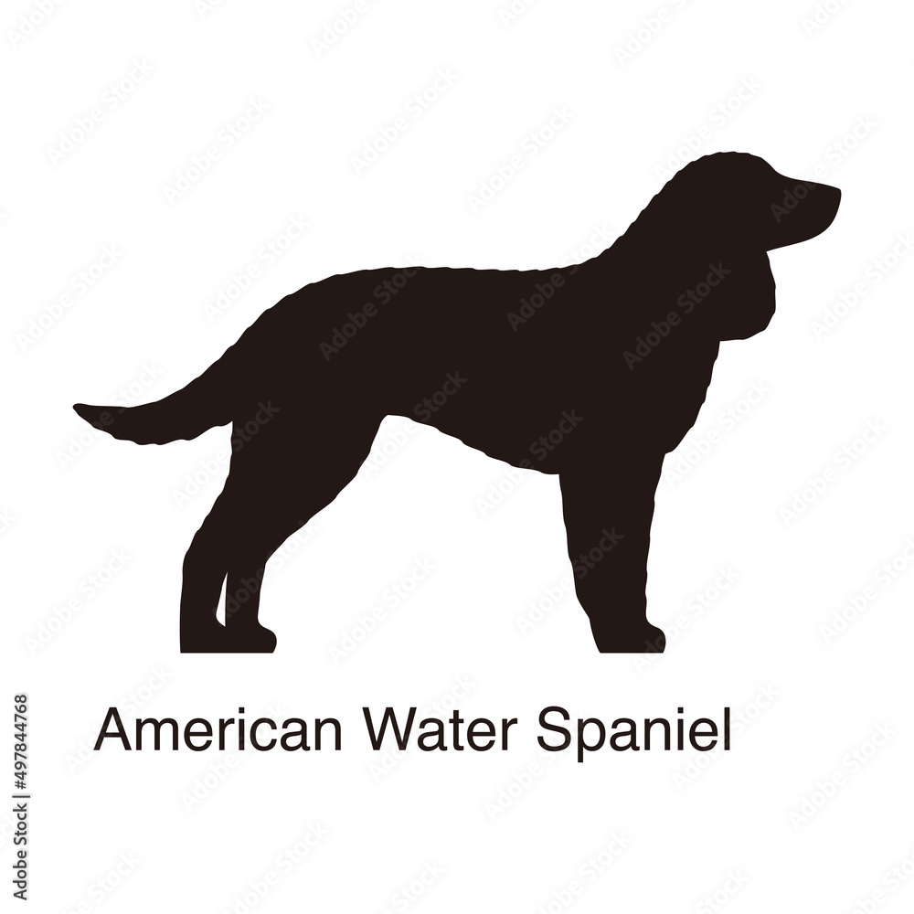 American Water Spaniel dog silhouette, side view, vector illustration