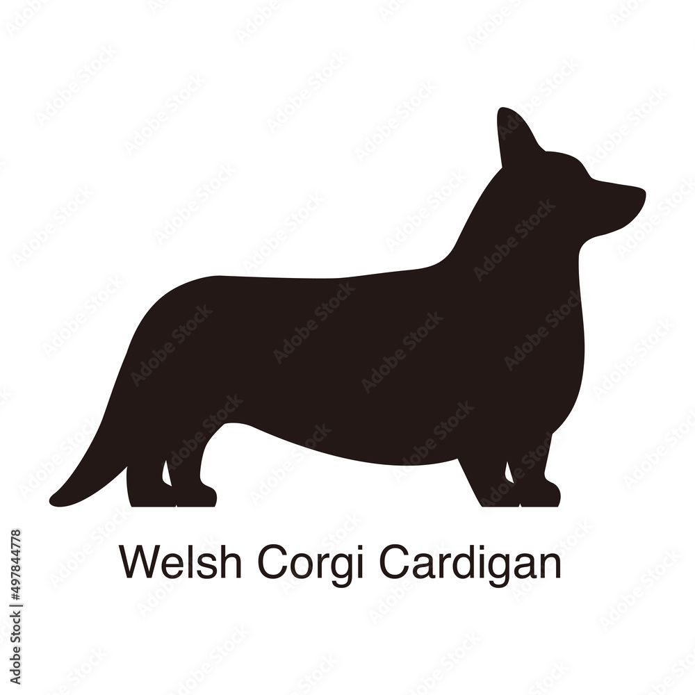 Welsh Corgi Cardigan dog silhouette, side view, vector illustration