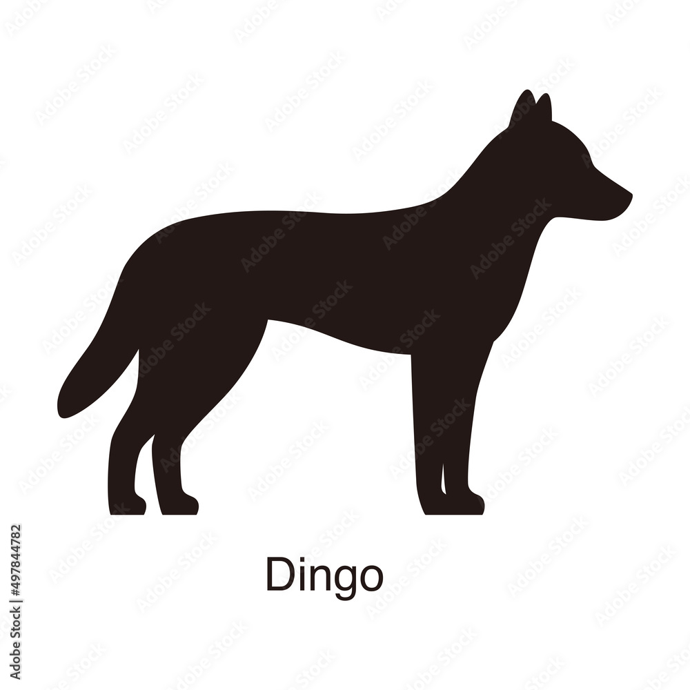 Dingo dog silhouette, side view, vector illustration