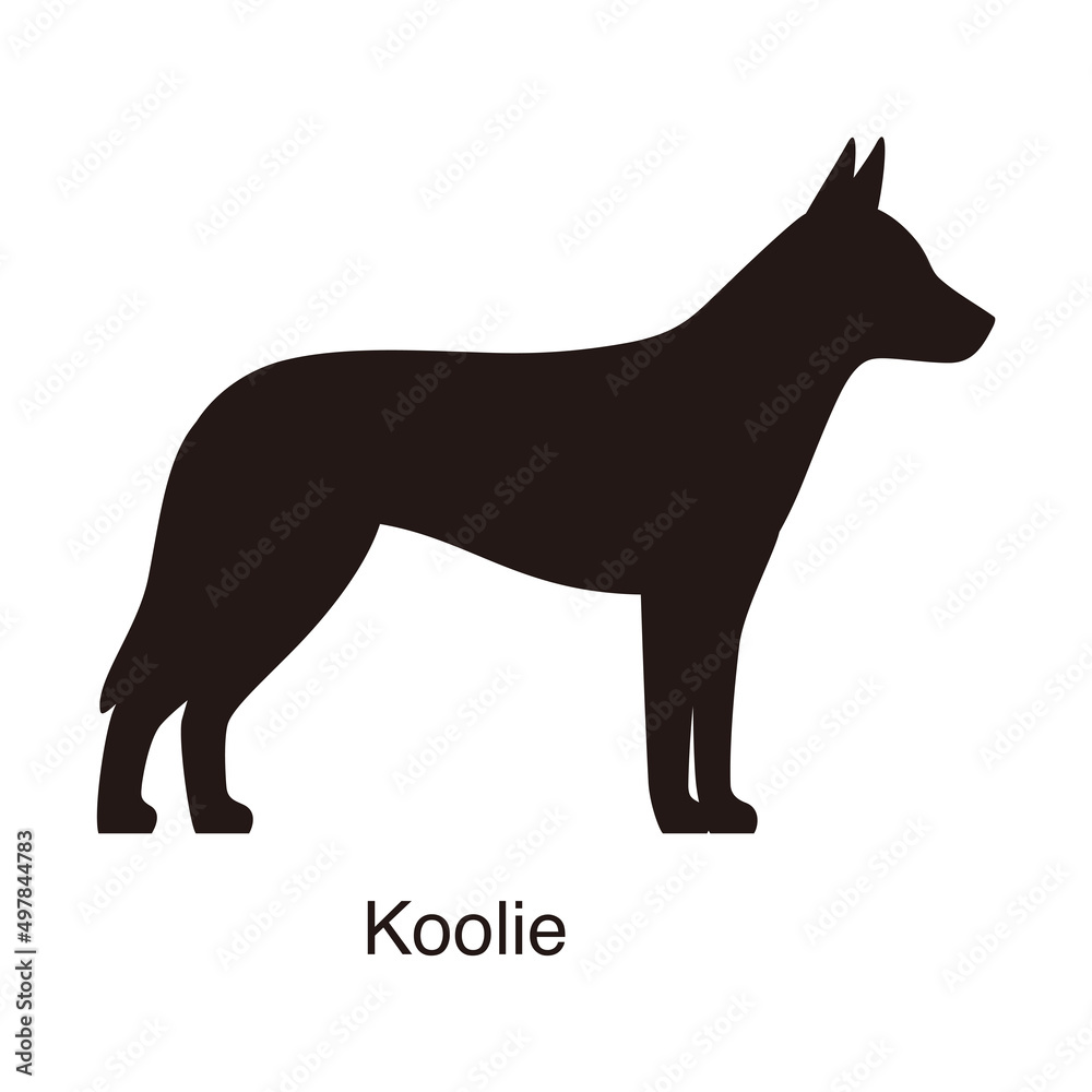 Koolie dog silhouette, side view, vector illustration