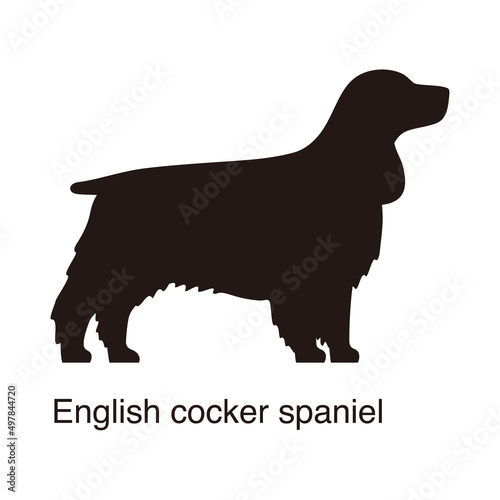 Canvastavla English cocker spaniel dog silhouette, side view, vector illustration