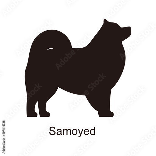 Photos Samoyed dog silhouette, side view, vector illustration