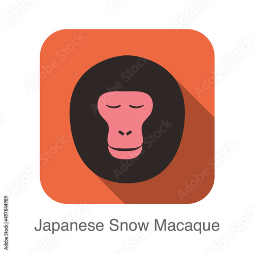 Japanese snow macaque face flat icon design, vector illustration