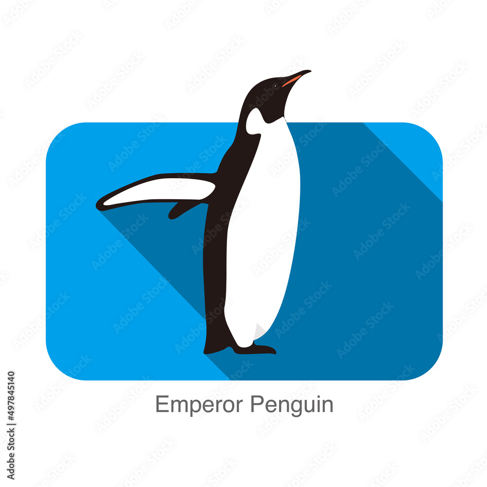 Obraz premium Emperor Penguin standing on the ground, Penguin seed series