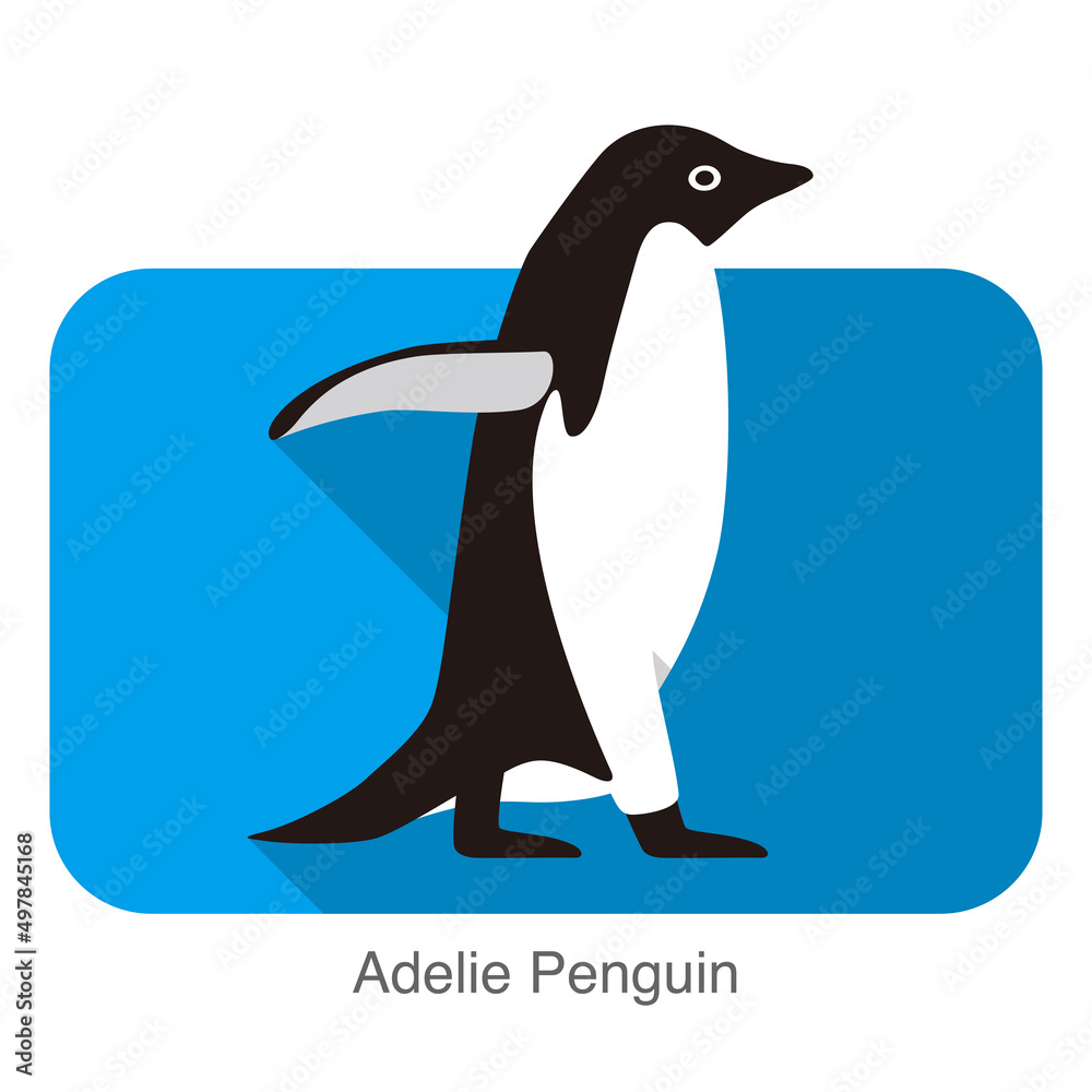 Fototapeta premium Adelie penguin walking, Penguin series vector illustration