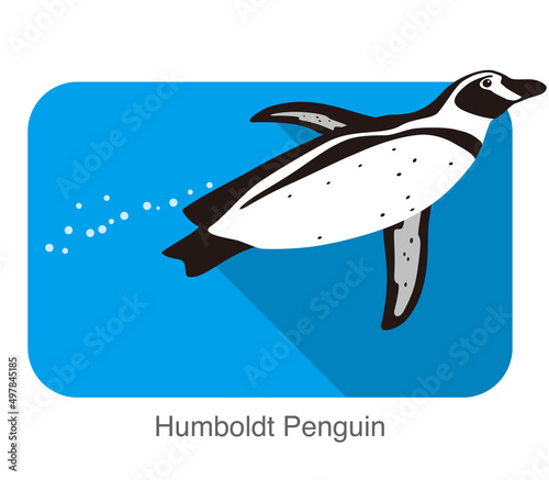 humboldt Penguin  Penguin seed series vector illustration