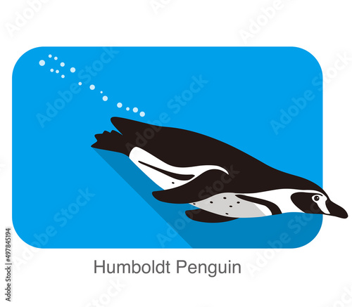 Fotografia humboldt Penguin, Penguin seed series vector illustration