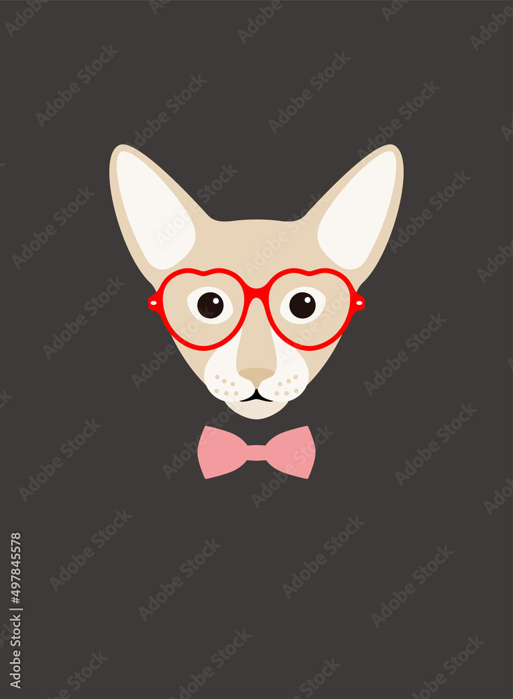 Obraz premium Portrait of cat, wearing glasses, like a lady, cool style, cosplay