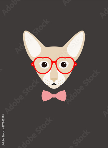 Portrait of cat, wearing glasses, like a lady, cool style, cosplay