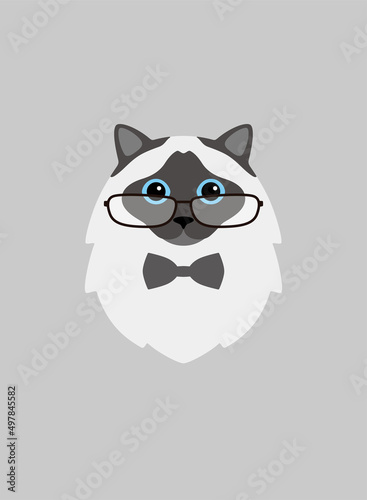 Portrait of cat, wearing glasses, like an old lady, cool style, cosplay