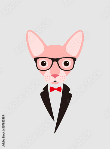 Portrait of cat, wearing glasses, like a lady, cool style, cosplay