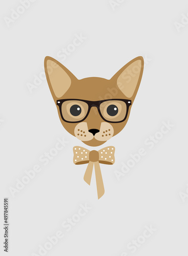 Portrait of cat, wearing glasses, like a lady, cool style, cosplay
