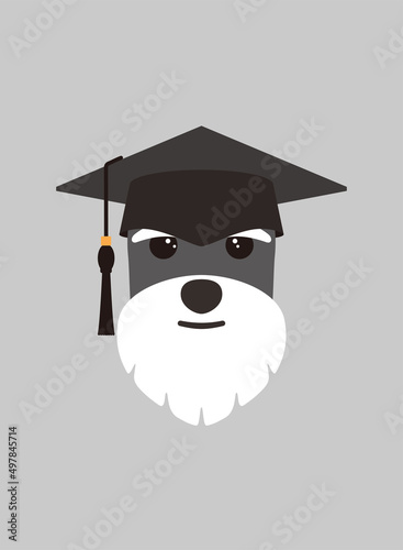 Portrait of dog, wearing bachelor cap, like a doctor , cool style, cosplay