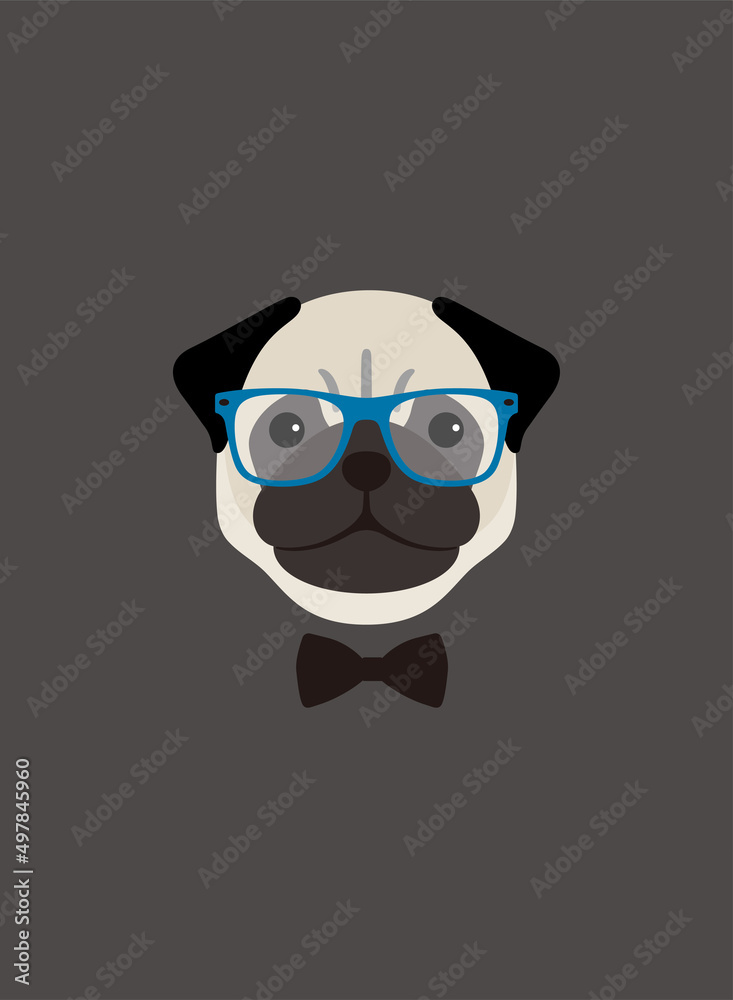 Portrait of pug dog, wearing glasses and bow tie, like a teacher, cool style
