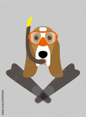 Portrait of dog, wearing something, want to diving, cool style like a diver