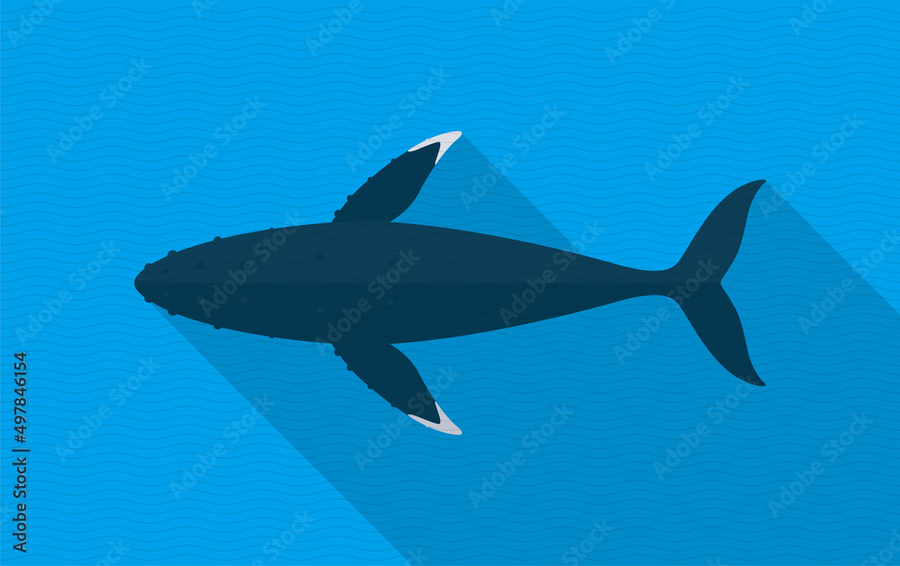 Humpback Whales swimming in the sea, animal flat icon