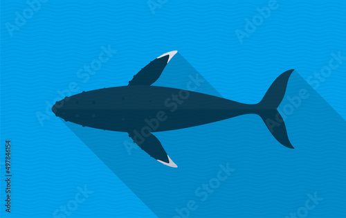 Humpback Whales swimming in the sea, animal flat icon © hakule