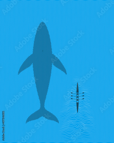 Blue Whale swimming with rowing boat