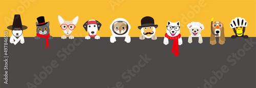 Portrait of animals, wearing something, cool style, cosplay