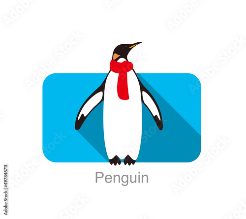 Emperor Penguin standing on the ground, swearing a scarf, Penguin seed series, vector