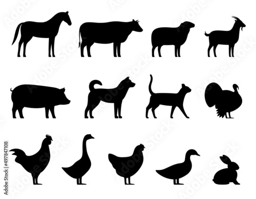Livestock, Farm animals black icons set, vector illustration
