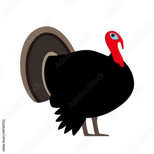 Turkey, farm animal black icon, vector illustration