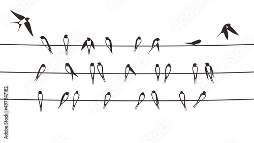 Flock swallows on the electric wire, vector illustration