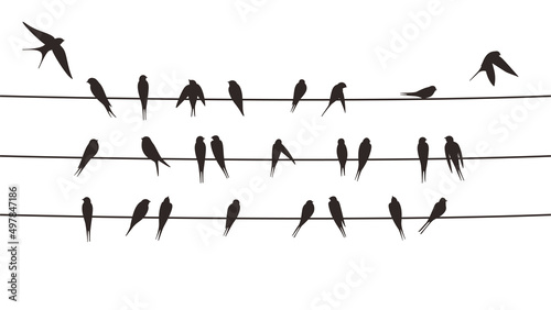 Flock swallows on the electric wire, vector illustration