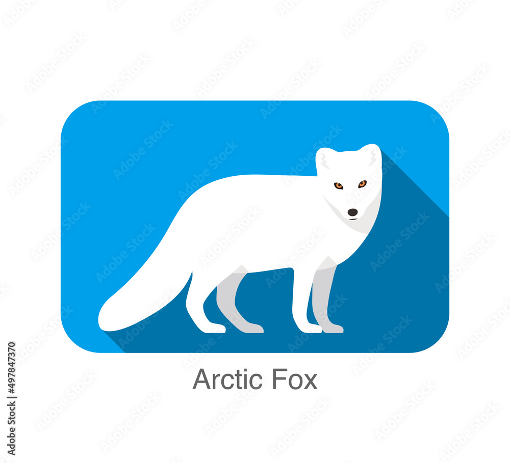 White Arctic fox standing, illustration vector White Arctic fox standing, illustration vector