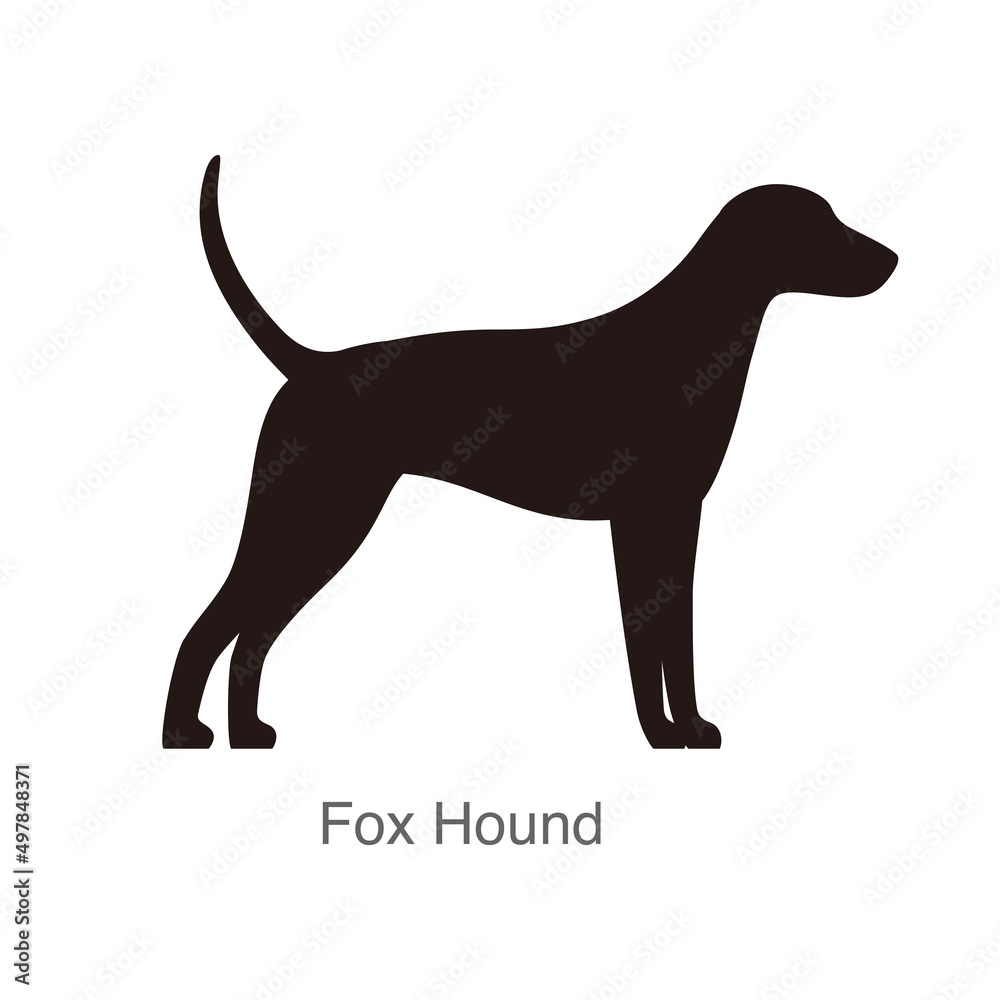 Fox Hound dog on the hole, watching, vector illustration