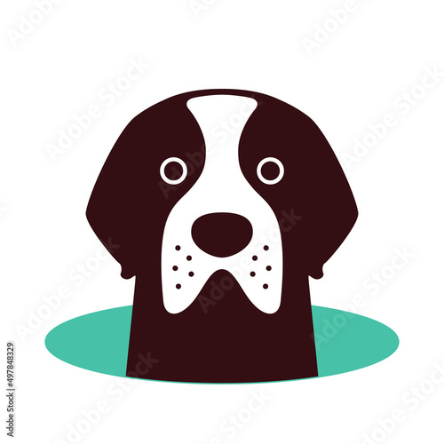 Saint Bernard come out of the hole, watching vector illustration