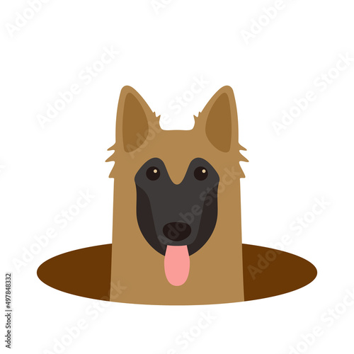 Tervuren come out of the hole, watching vector illustration