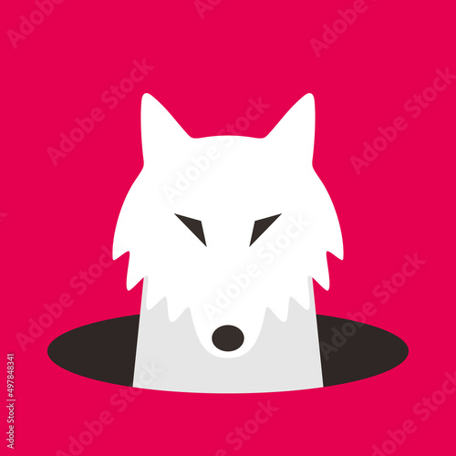 Wolf come out of the hole, watching vector illustration