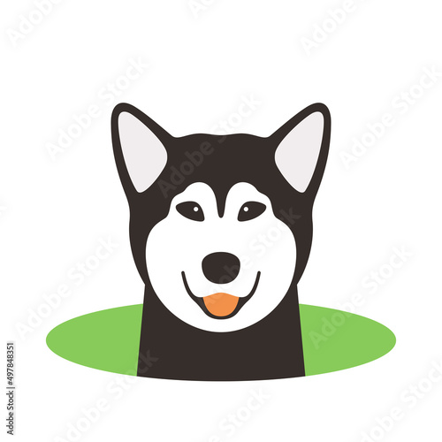 Alaskan Malamute dog come out of the hole, watching vector illustration