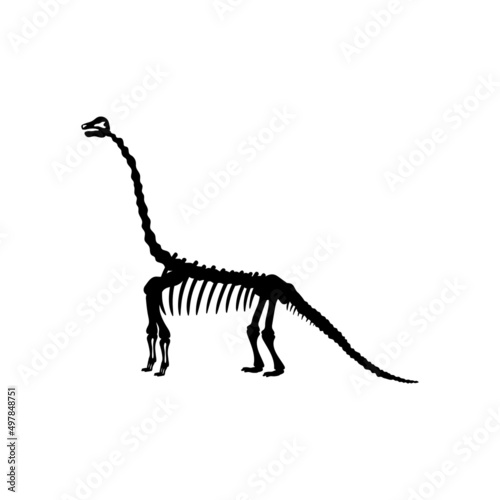 Dinosaur skeleton line art illustration icon design template vector