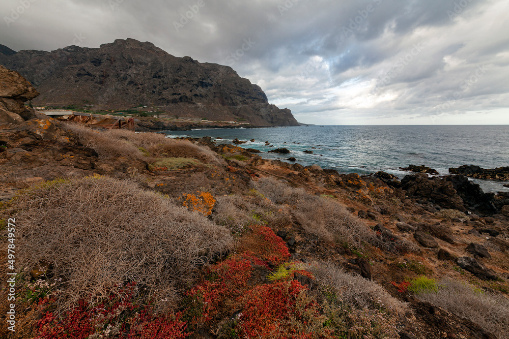 The seascape of the island of Tenerife. The Canary Islands.