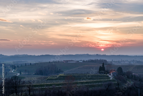 Spring sunset in the vineyards of Collio Friulano