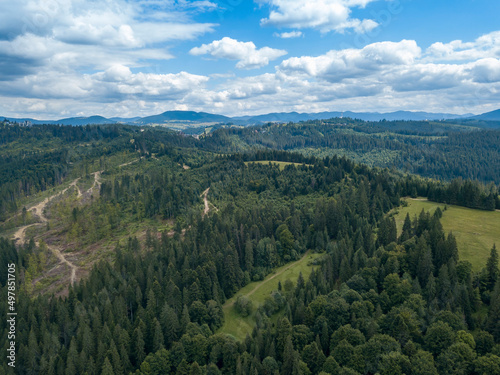 Green mountains of Ukrainian Carpathians in summer. Coniferous trees on the slopes. Aerial drone view.