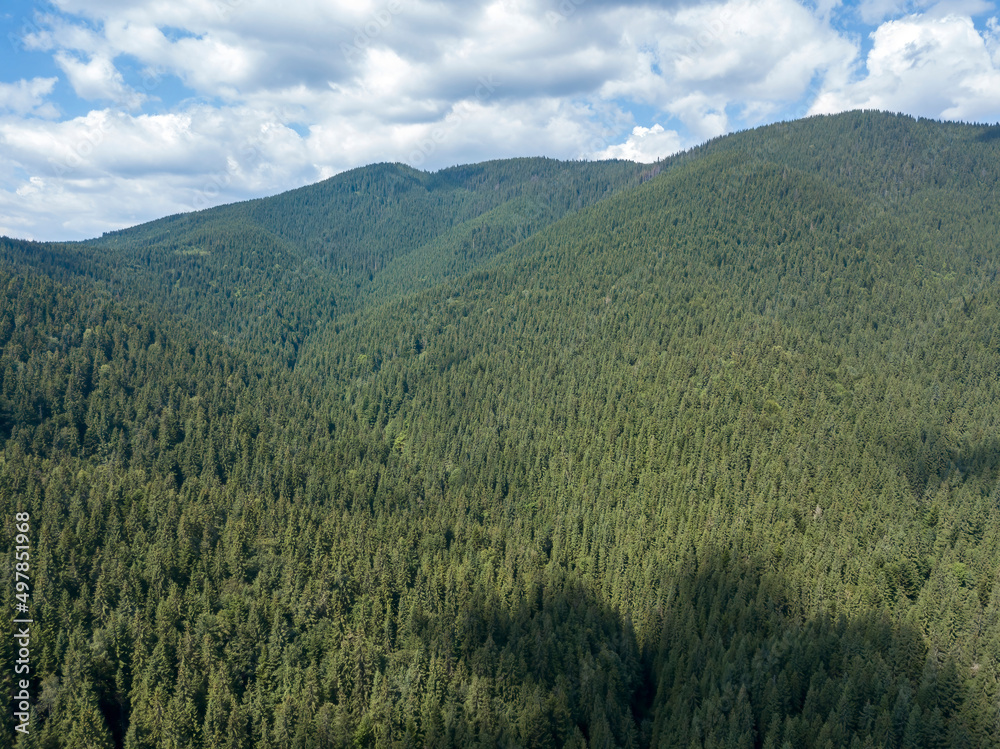 Obraz premium Green mountains of Ukrainian Carpathians in summer. Sunny day, rare clouds. Aerial drone view.