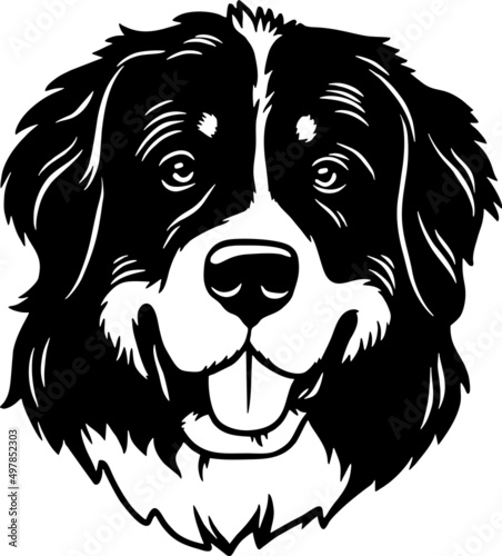 Bernese Mountain Dog - Funny Dog, Vector File, Cut Stencil for Tshirt photo