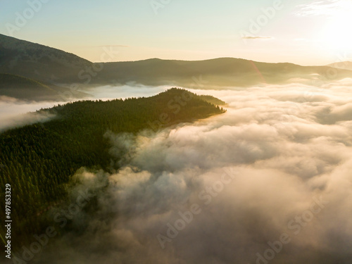 Fog envelops the mountain forest. The rays of the rising sun break through the fog. Aerial drone view.